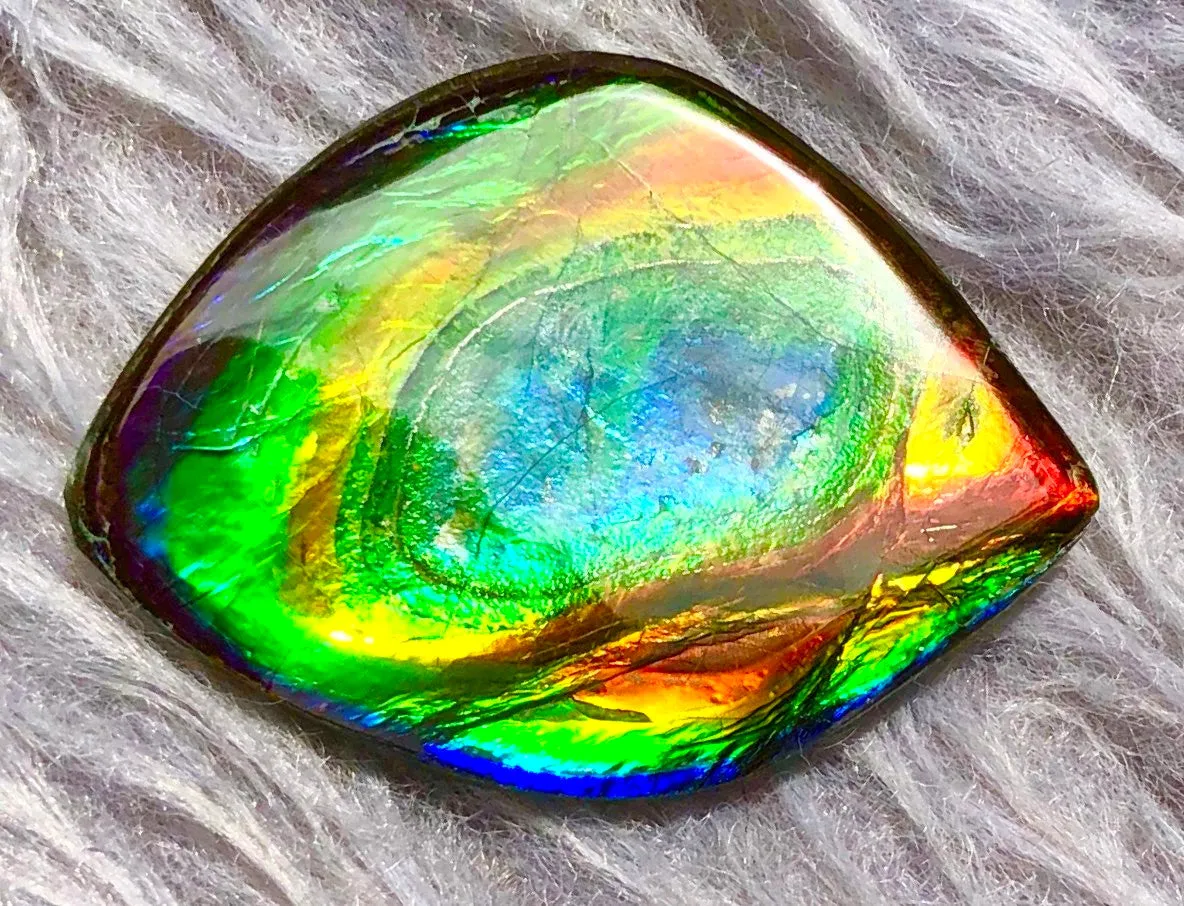 35  x 26 mm  Natural  Free Form . FFN 332 Ammolite  ナチュラル　ルース　アンモライト
