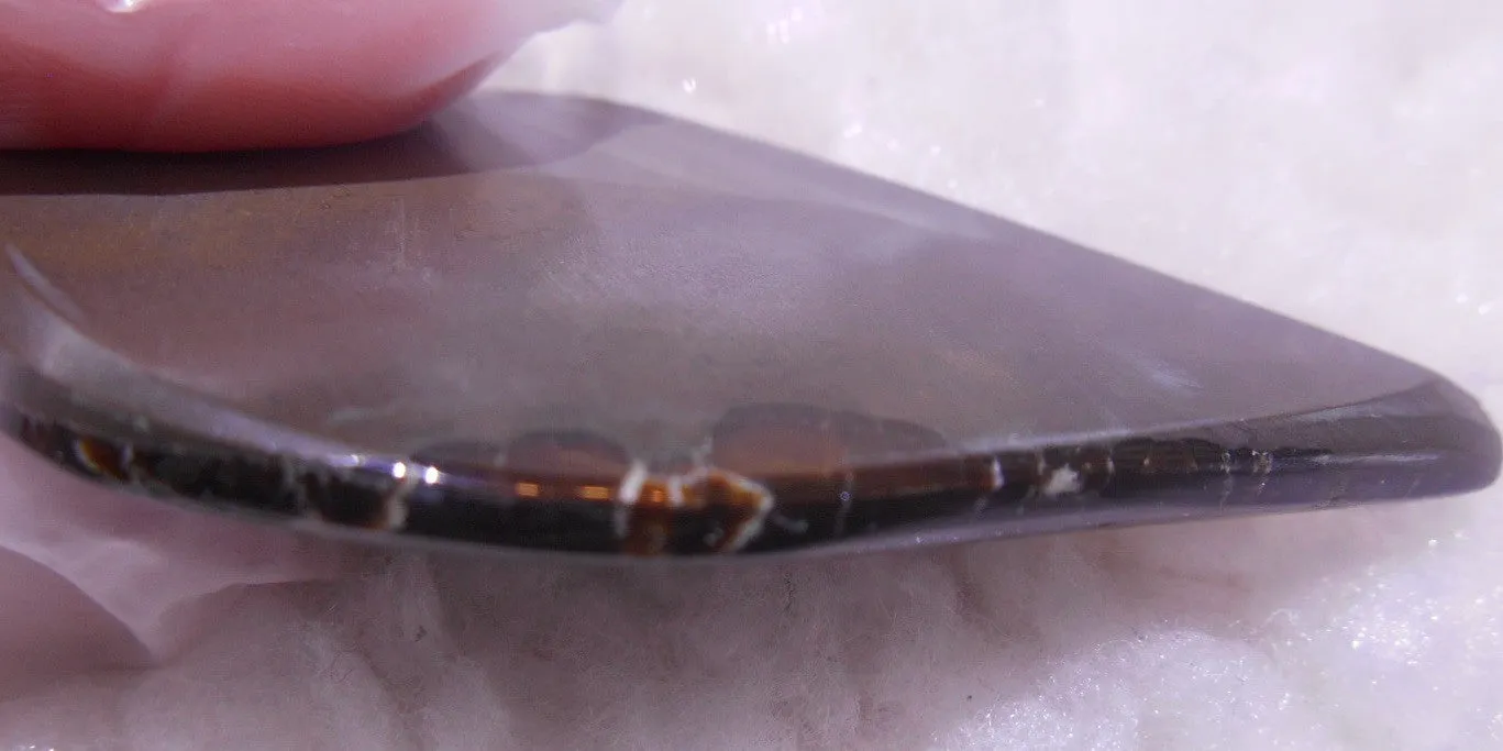 57 x 33 x 6 mm - Natural Free Form  AA GRADE FFN 190  Ammolite ナチュラル　ルース　アンモライト フリーフォーム