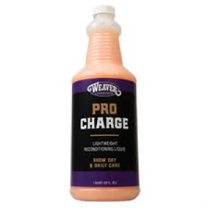 AC69-3008 ProCharge Reconditioning Liquid  1qt