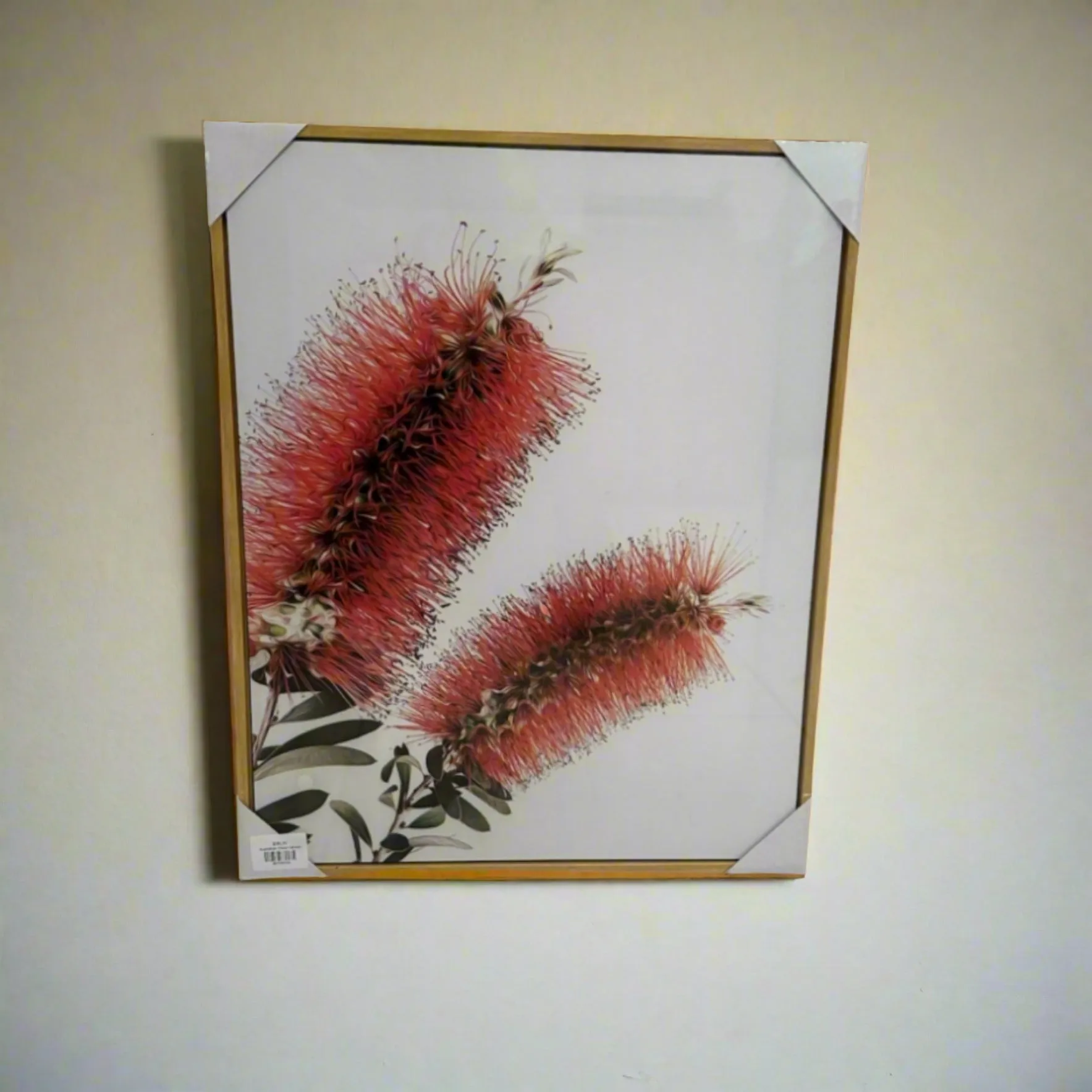 Australian Flora Canvas