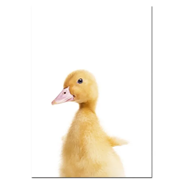 Baby Animal Poster