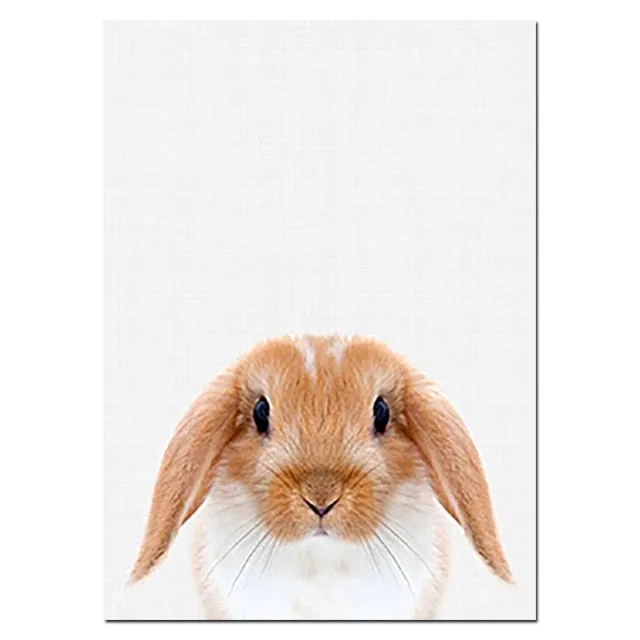 Baby Animal Poster