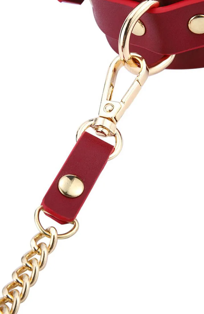 BDSM Deluxe 5 Item Kit - Red