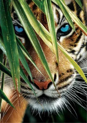 Beautiful Blue-Eyed Tiger & Leaves Diamond Painting Kit for Kids & Adults, 5D Full Drill Round