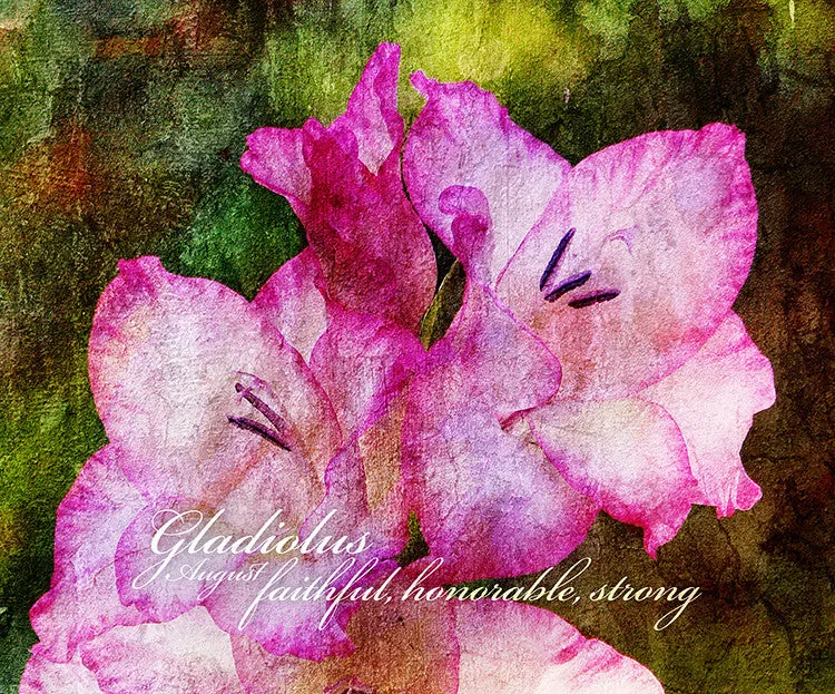 Birthday Blossoms Wall Art - Gladiolus, with characteristic description