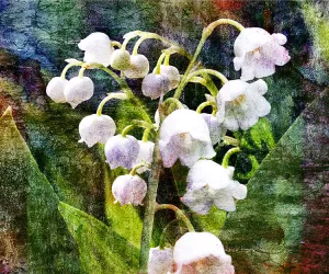 Birthday Blossoms Wall Art - Lilly of the Valley