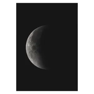Black and White Moon Wall Art