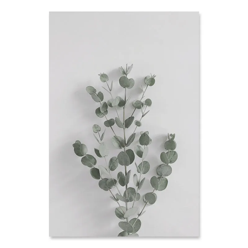 Botanical Eucalyptus Leaves Modern Canvas Paintings Posters and Prints Interior for Living Room Hallway Home Decor No Frame