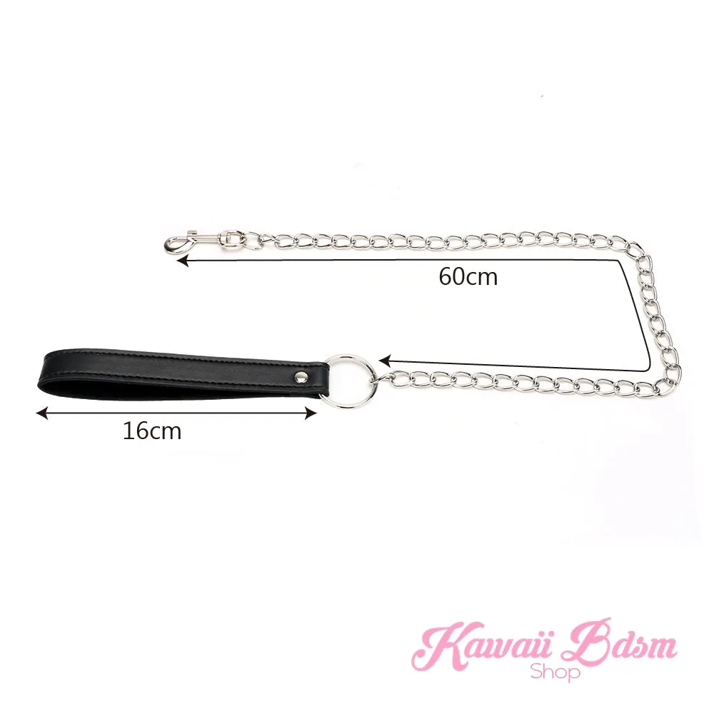 Chain Leashes