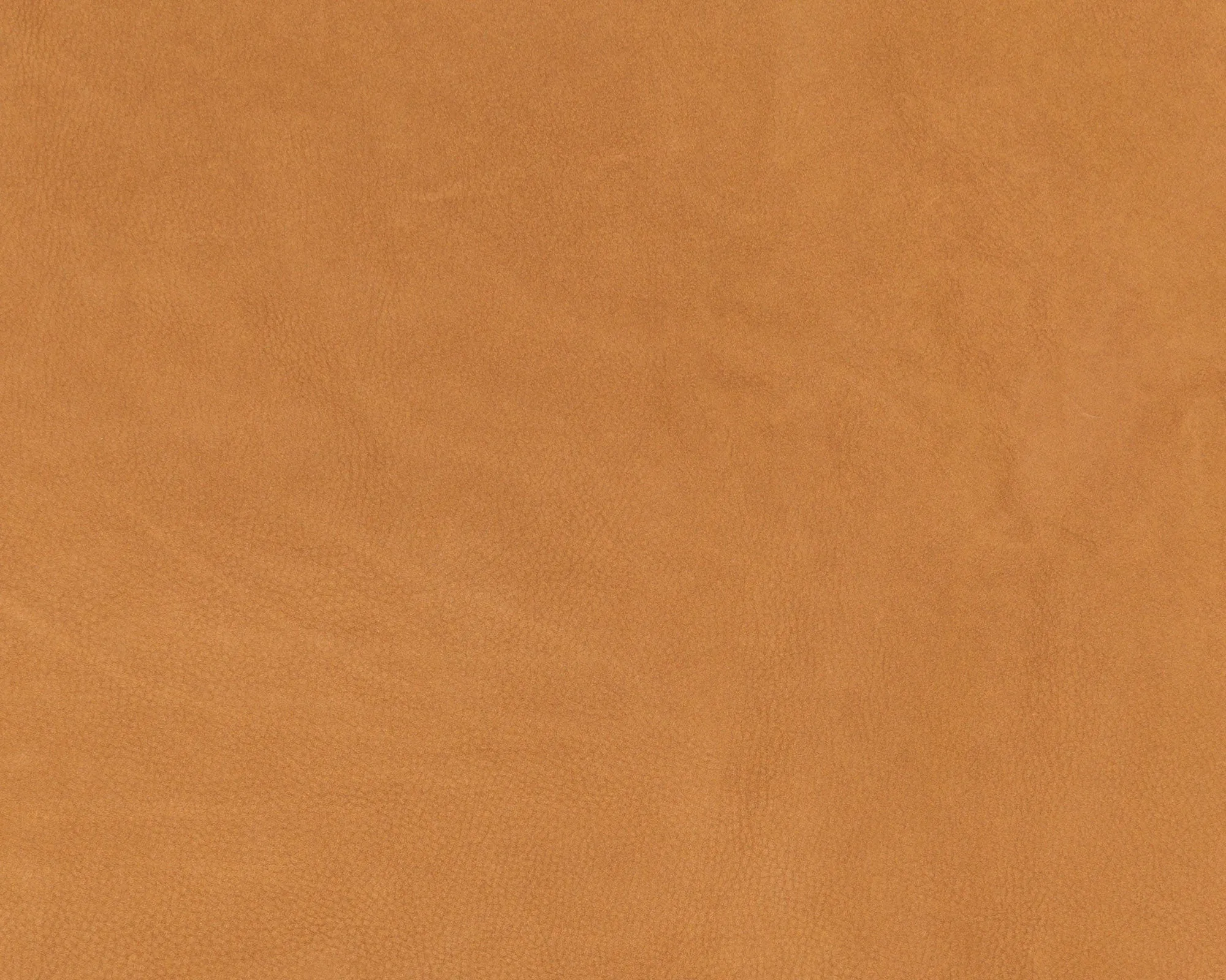 Chamois Leather - 1708 Cuoio