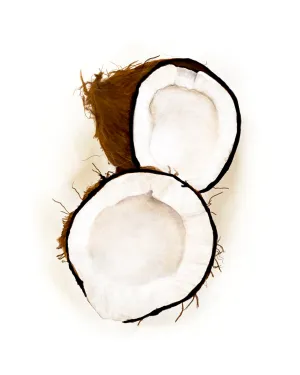 Cocos