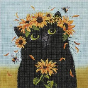 Daisy Kitty
