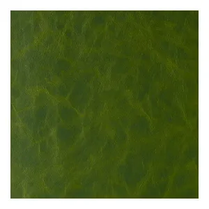 Daytripper-Jungle Love