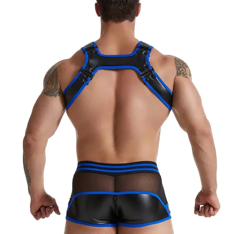 DSU SHIELD Blue Mens Harness
