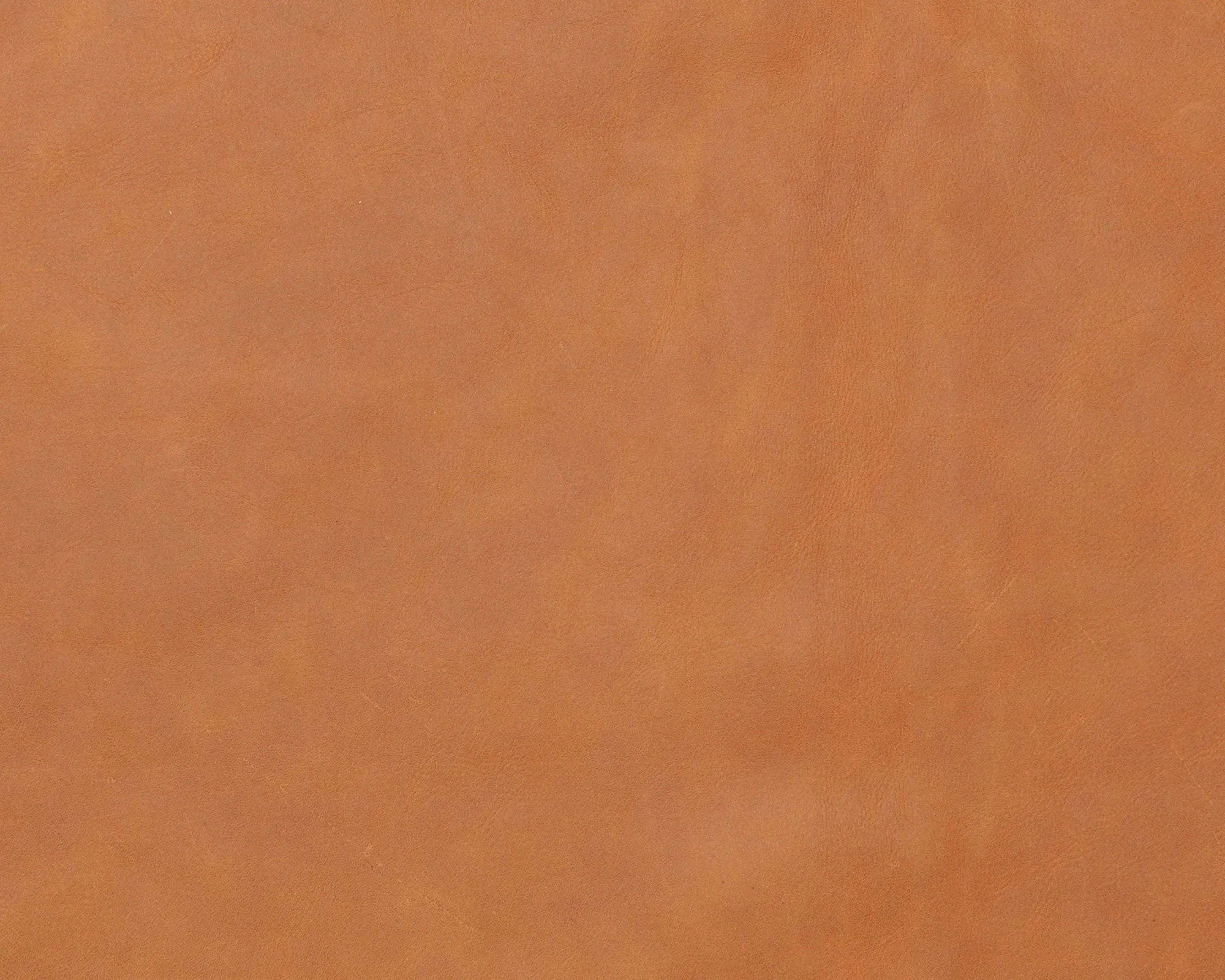 Dunes Leather - 21000