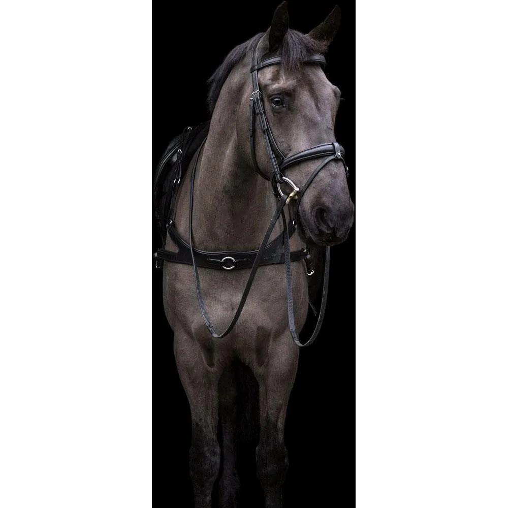 Eco Rider Freedom Breastplate - Perfect Fit for Your Horse's Shoulders