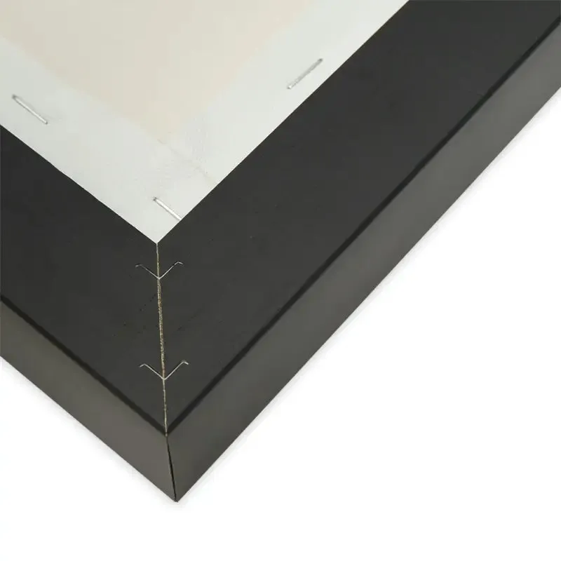 Elevate your Space with Black Coffee Matte Canvas
