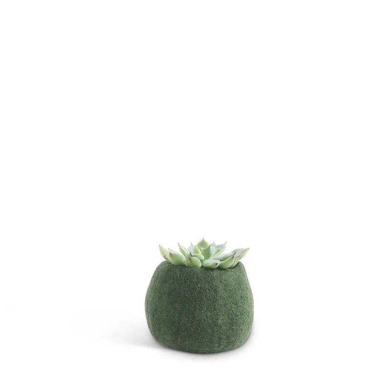Flower Pot 16 - Small