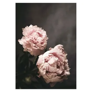 Flowers Canvas Wall Art