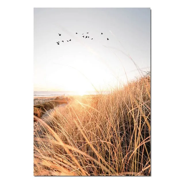 Grass Field Sunset Wall Art