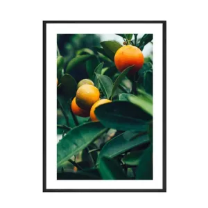 Green Leaf Fruit Poster Quotes Nordic Cocktail Wall Art
