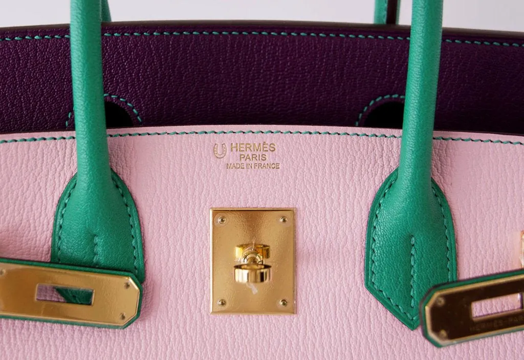 Hermès Birkin 30 Tri-Color Chevre Horseshoe Bag GHW
