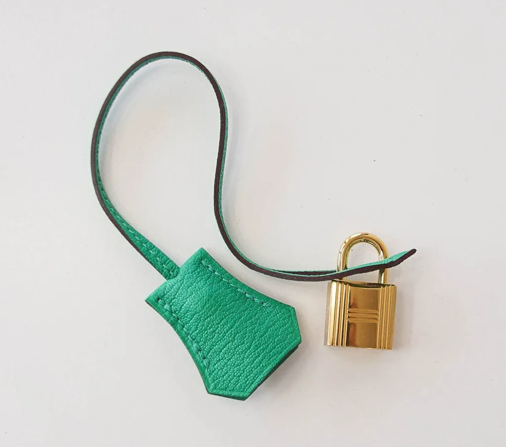 Hermès Birkin 30 Tri-Color Chevre Horseshoe Bag GHW