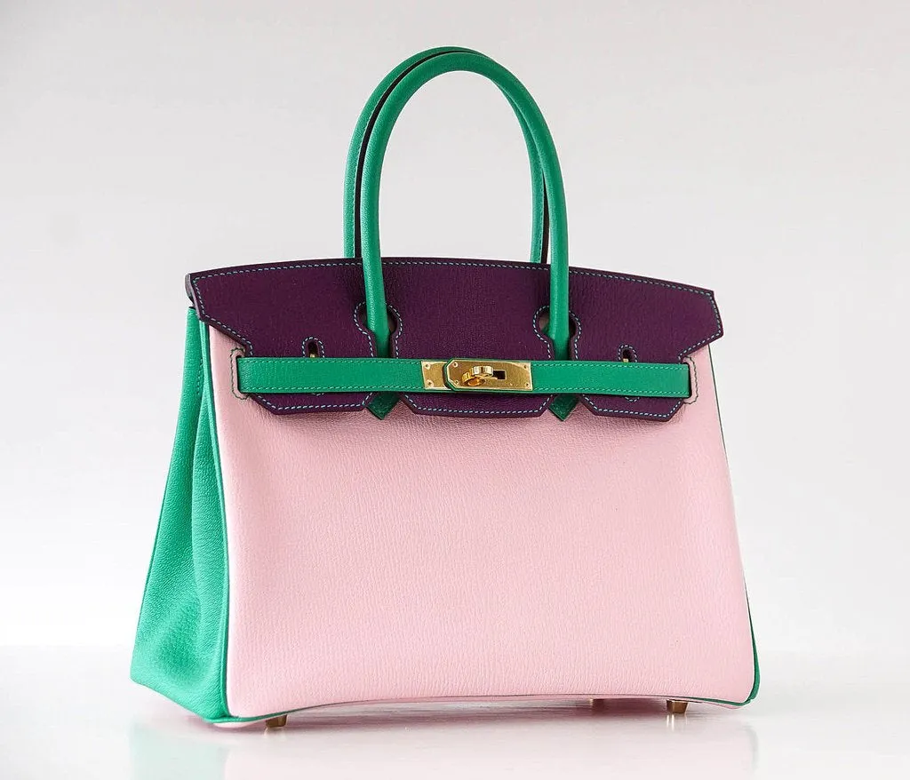Hermès Birkin 30 Tri-Color Chevre Horseshoe Bag GHW