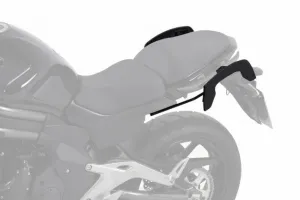 Kawasaki ER 6n / 6f Sidecases Carrier - C-Bow