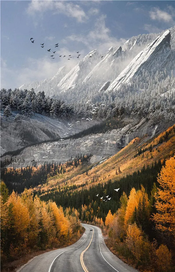 Landscape Scenery Home Decor