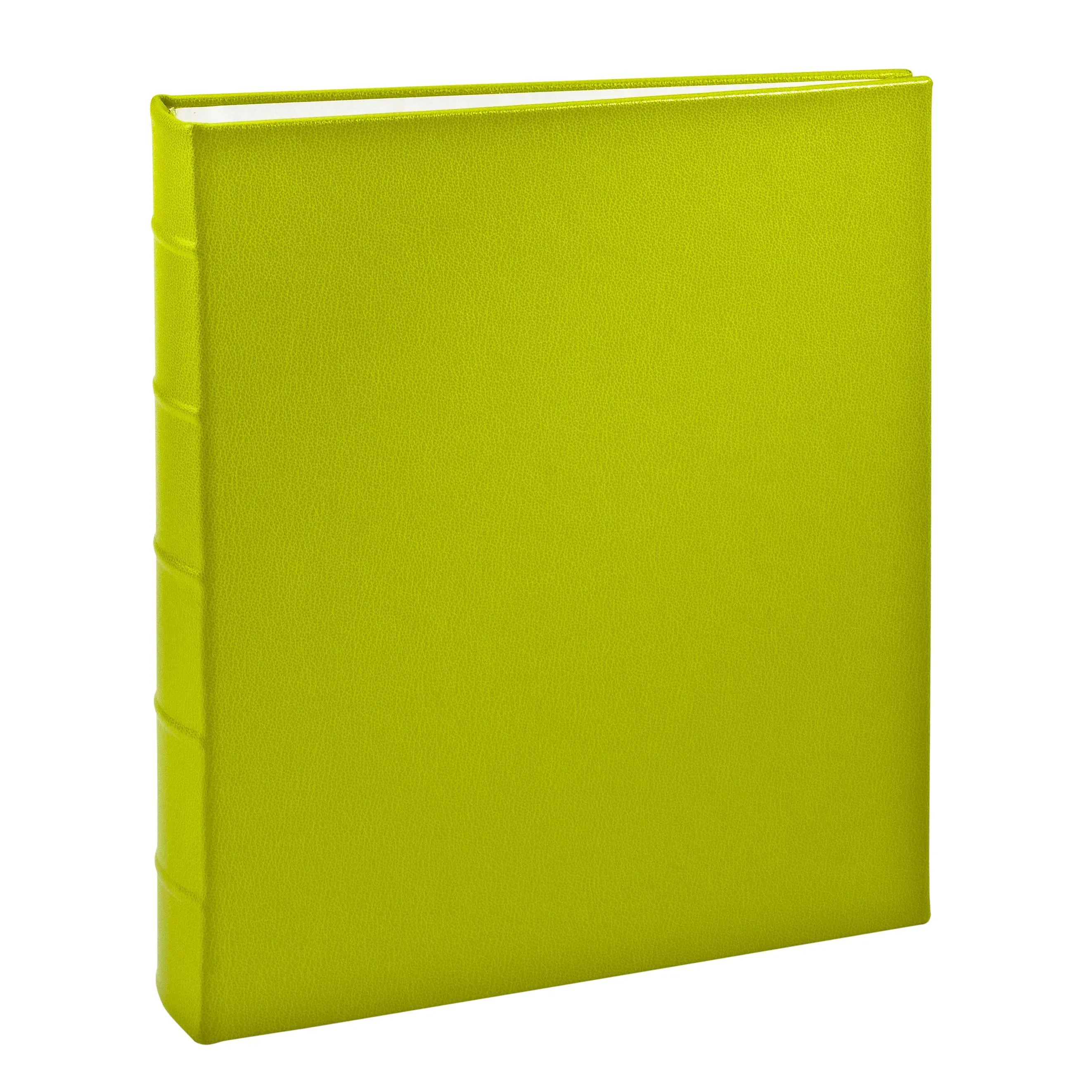 Large Ring Clear Pocket Album