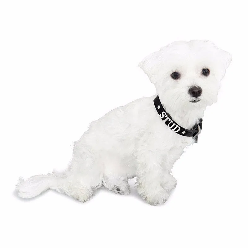 Luxe Dog Collar