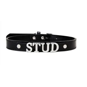 Luxe Dog Collar