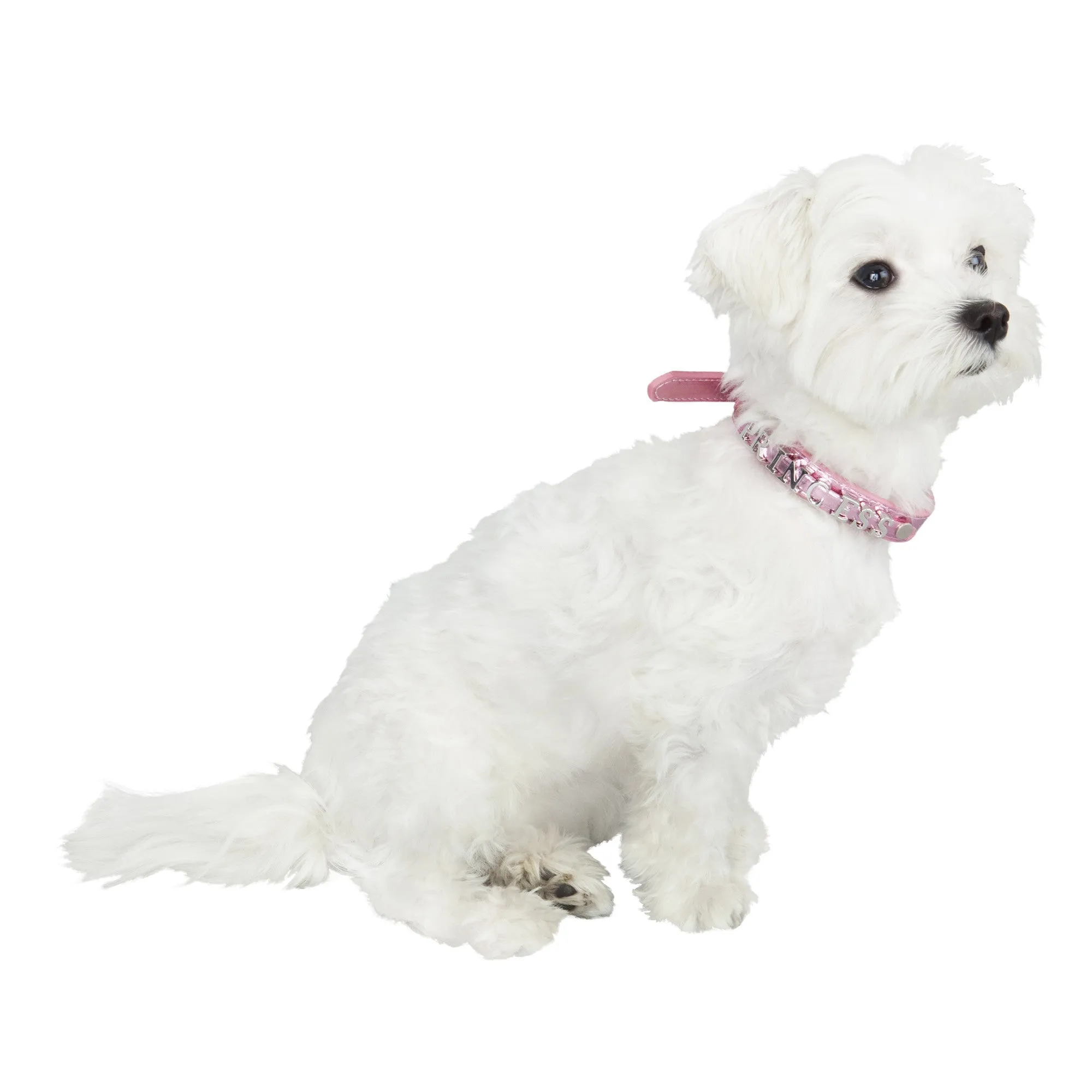 Luxe Dog Collar