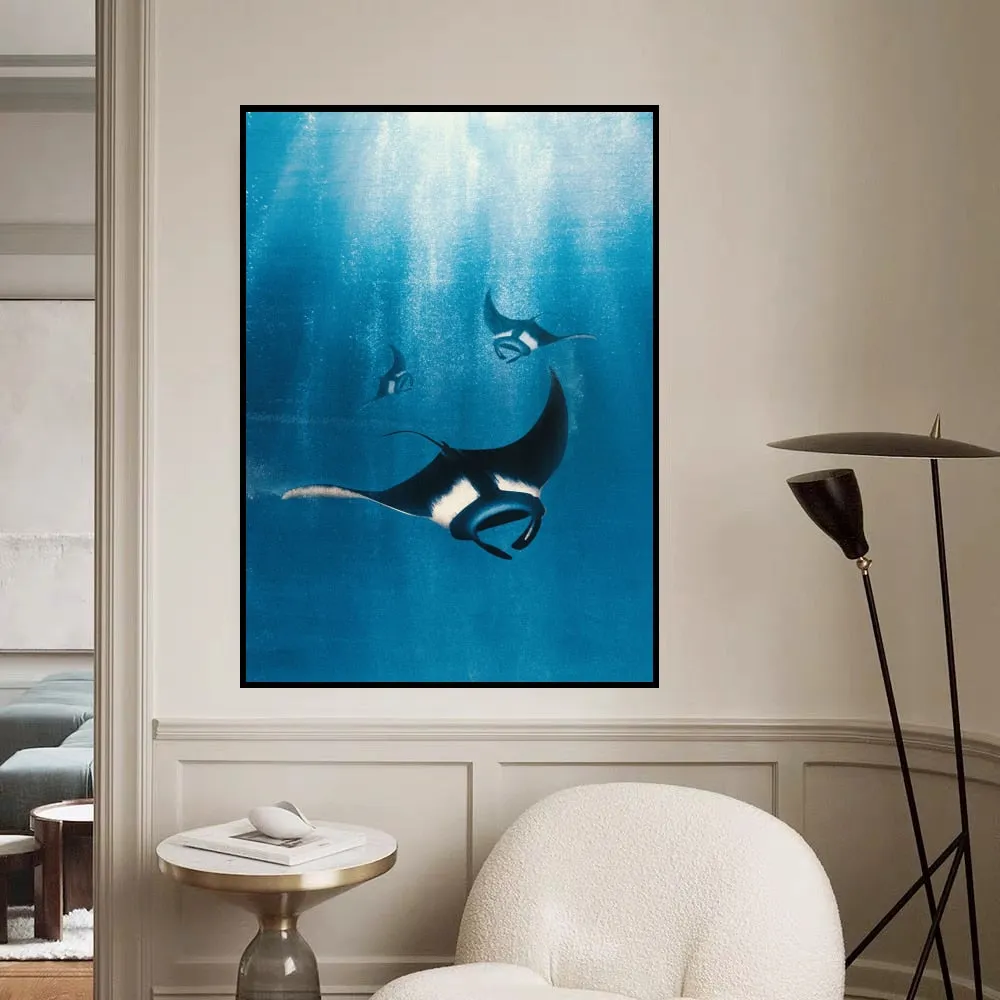 Manta Ray Canva Print (no poster)