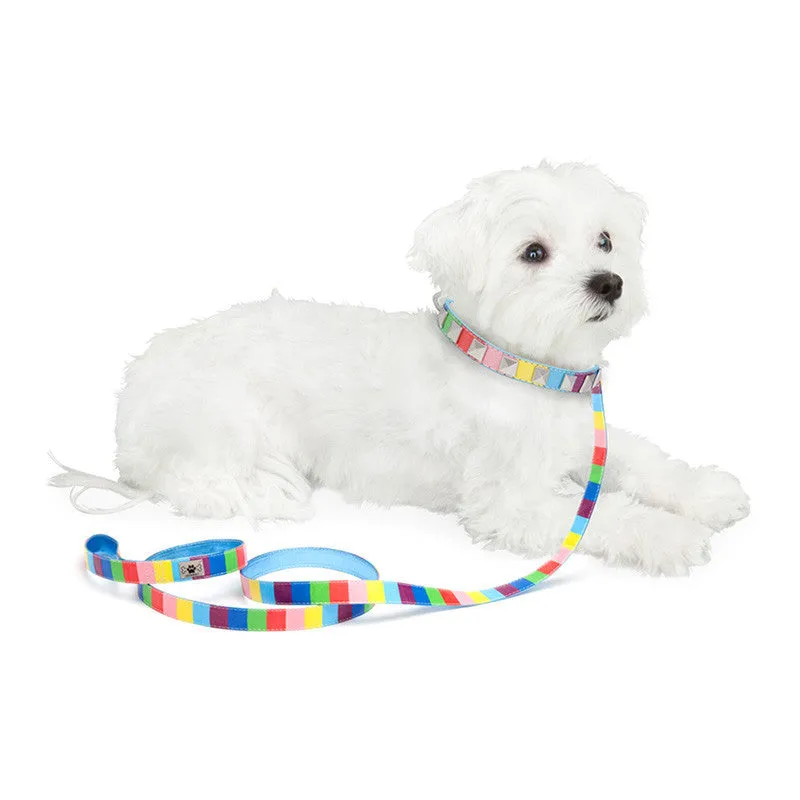 Multicolor Dog Leash