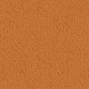 Ossy-212