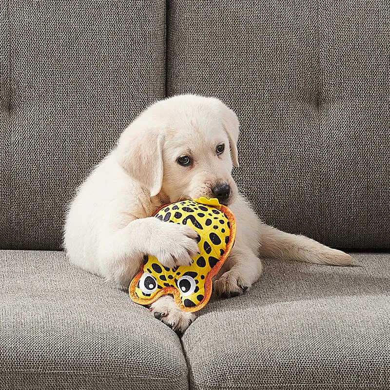 Outward Hound Xtreme Seamz Dart Frog