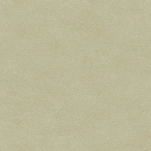 Pietra-1111