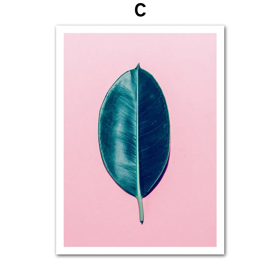 Pineapple Cactus Succulent Plants Wall Art
