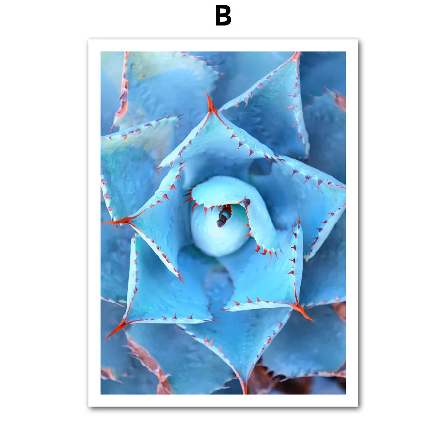 Pineapple Cactus Succulent Plants Wall Art