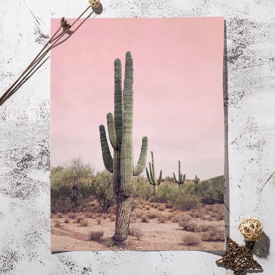 Pink Bus Cactus Pineapple Blue Sea Beach