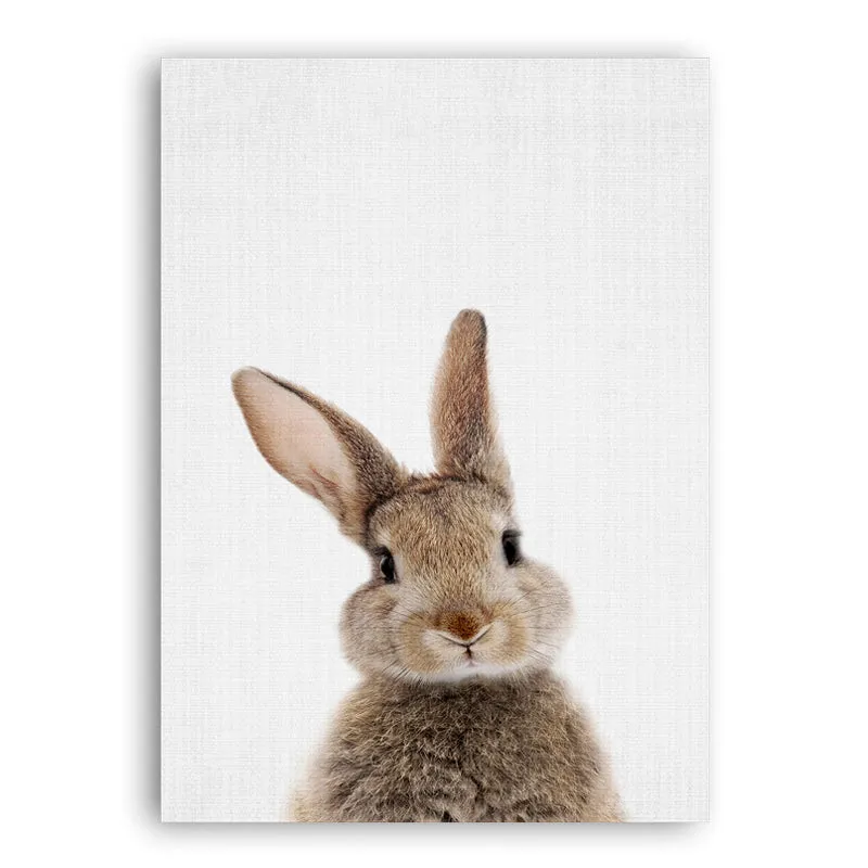 Rabbit Tail Bunny Wall Art