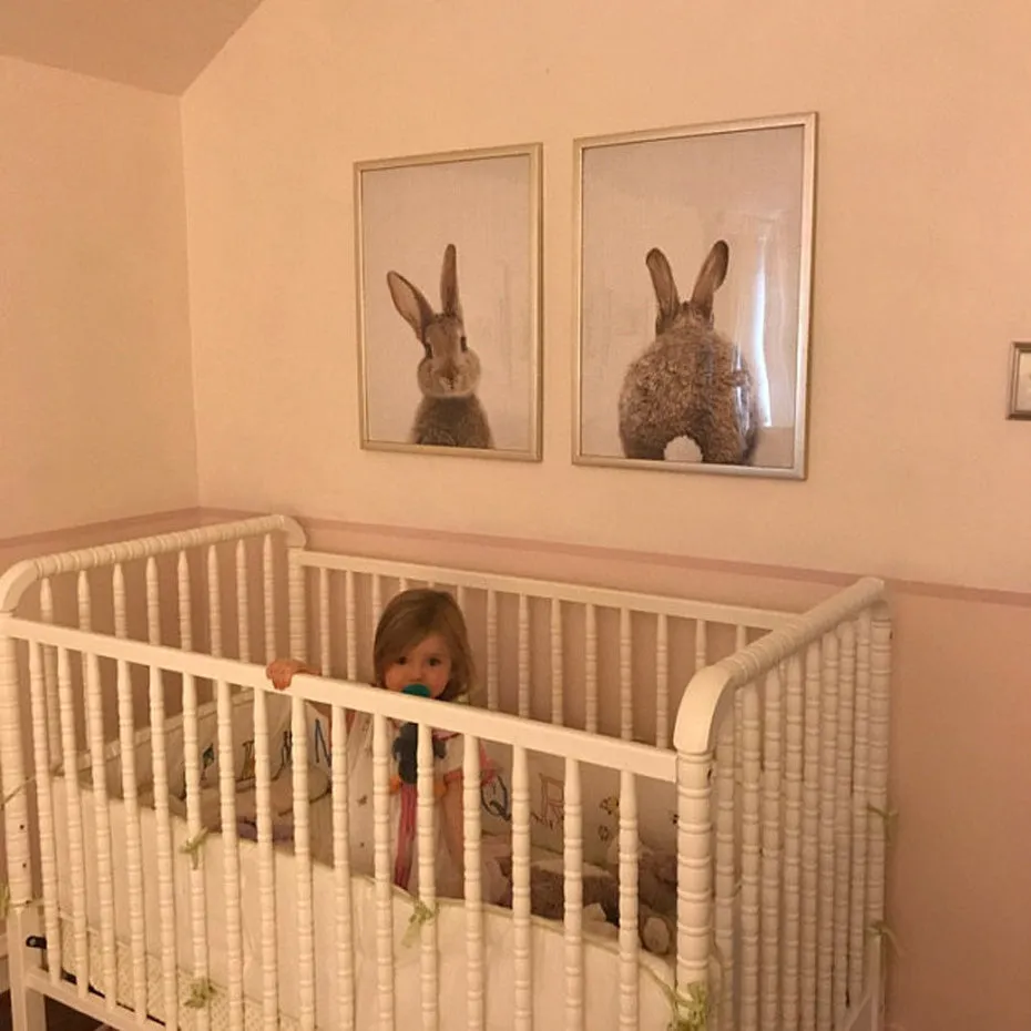 Rabbit Tail Bunny Wall Art