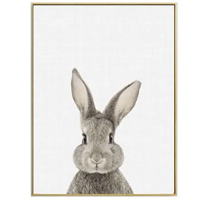 Rabbit Tail Bunny Wall Art