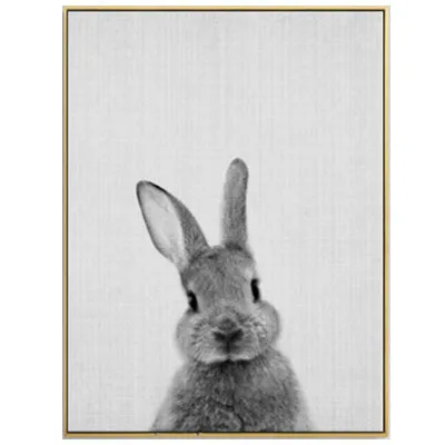 Rabbit Tail Bunny Wall Art