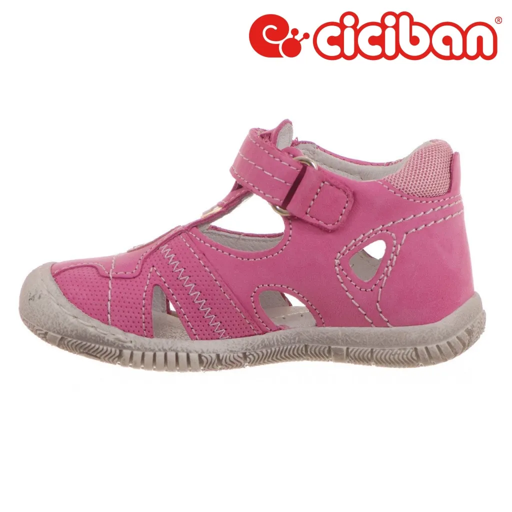 Rolly Fuxia 45