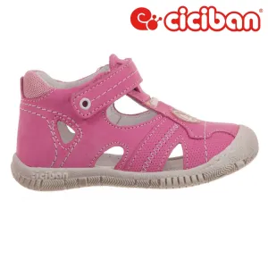Rolly Fuxia 45