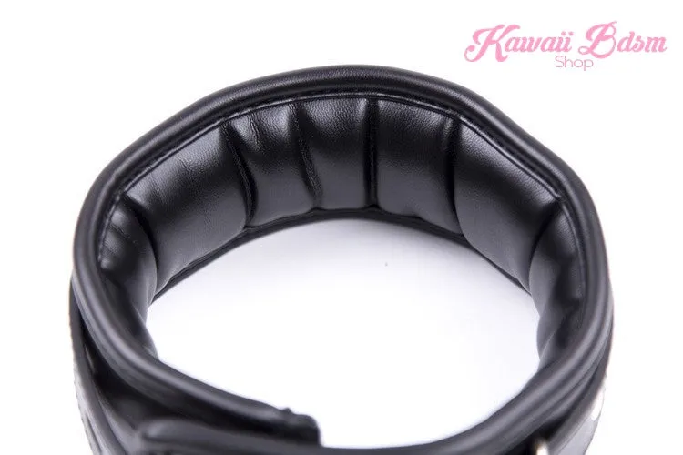 Stuffed Black Collar & Leash Set