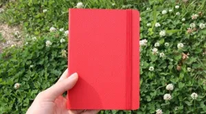 The Note Soft_ S - Red (Line)